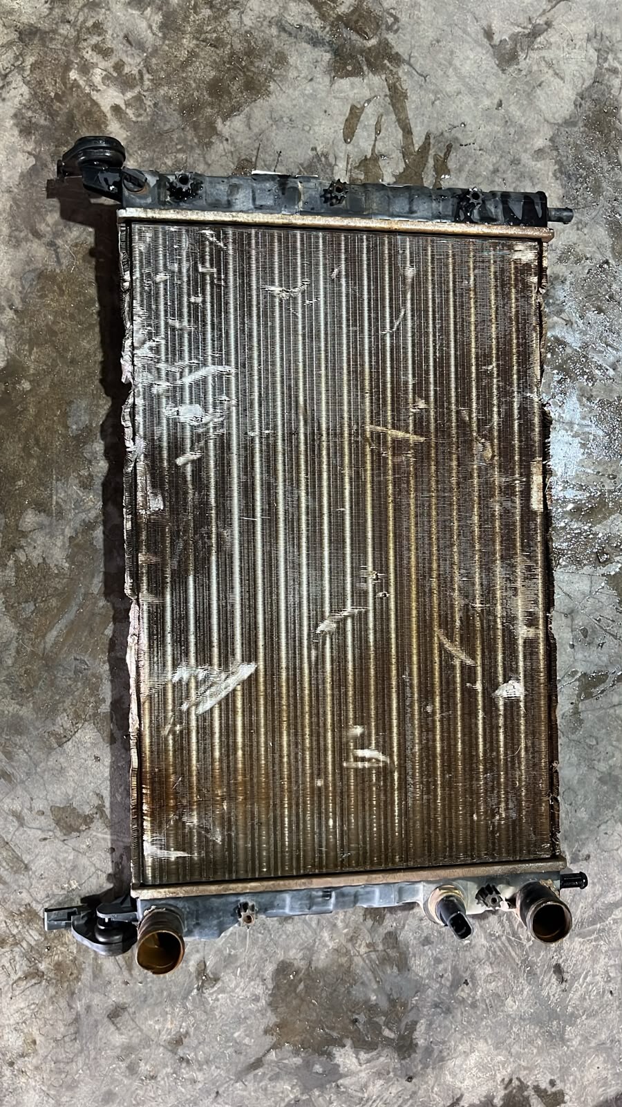 RADIADOR MOTOR Fiat PALIO EDX 13 2002