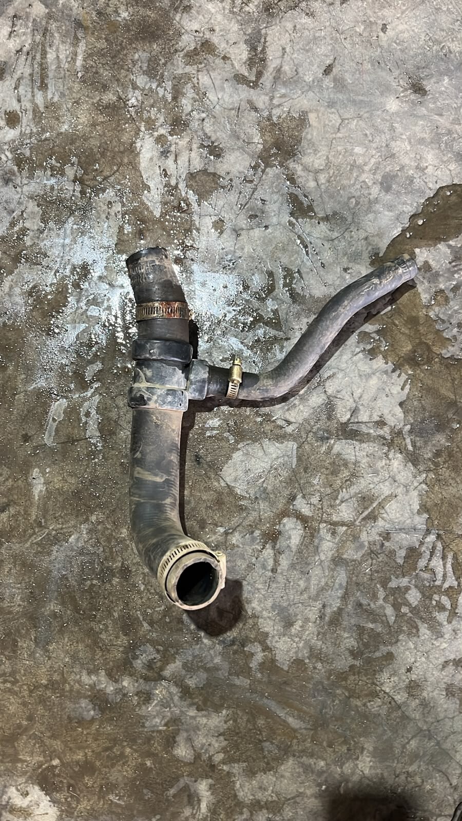 MANGUERA RADIADOR Fiat PALIO EDX 13 2002