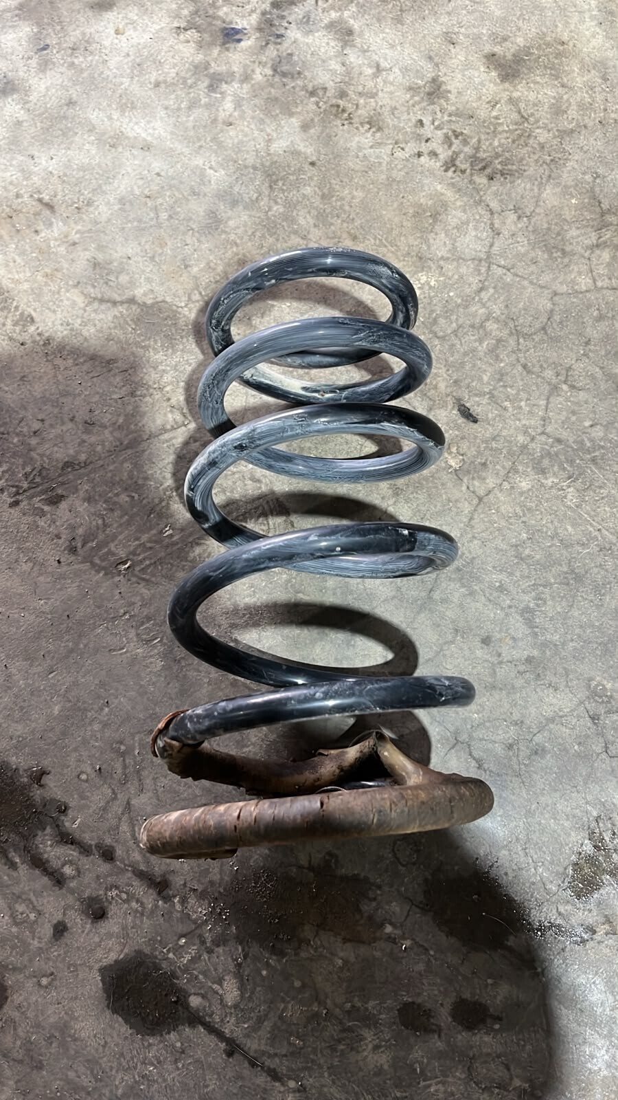 ESPIRAL AMORTIGUADOR TRASERO Fiat PALIO EDX 13 2002