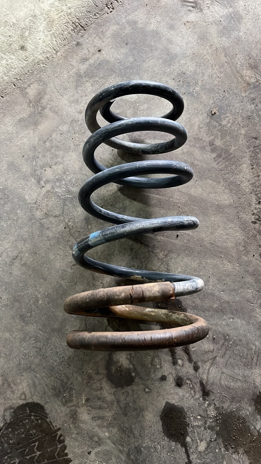 ESPIRAL AMORTIGUADOR TRASERO Fiat PALIO EDX 13 2002